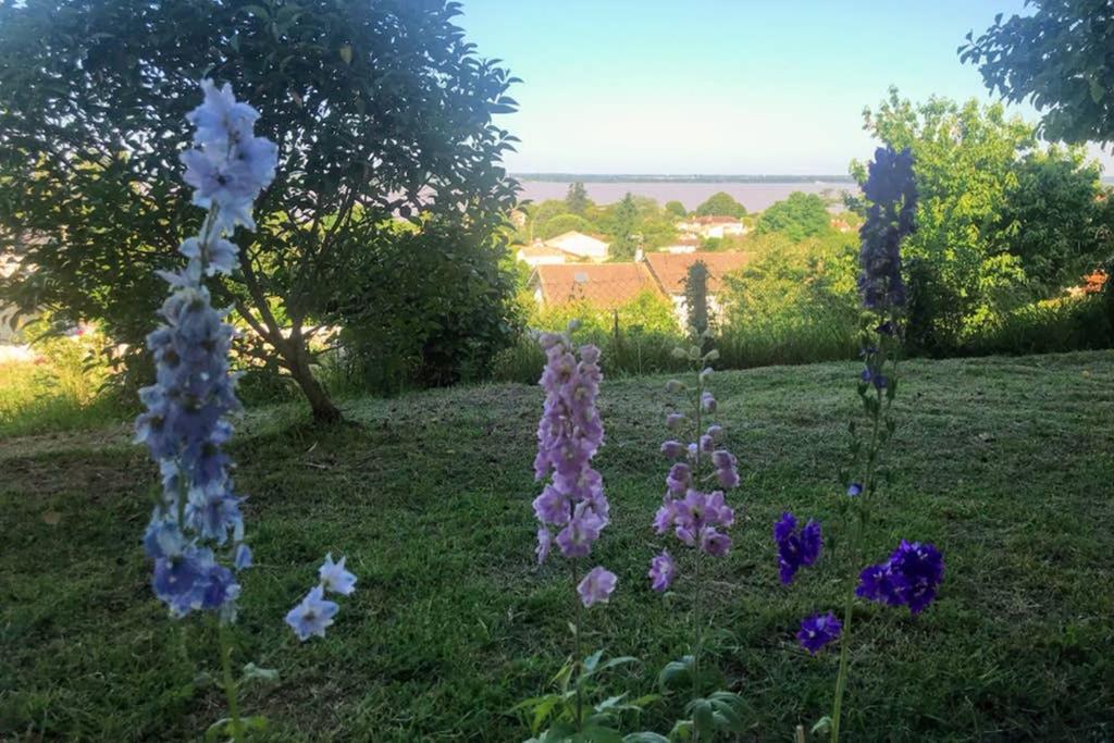 Appartement Avec Vue Panoramique Sur L'Estuaire De La Gironde Plassac  エクステリア 写真