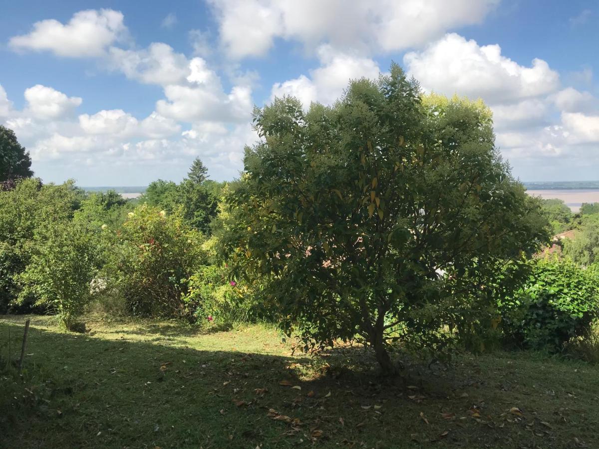 Appartement Avec Vue Panoramique Sur L'Estuaire De La Gironde Plassac  エクステリア 写真