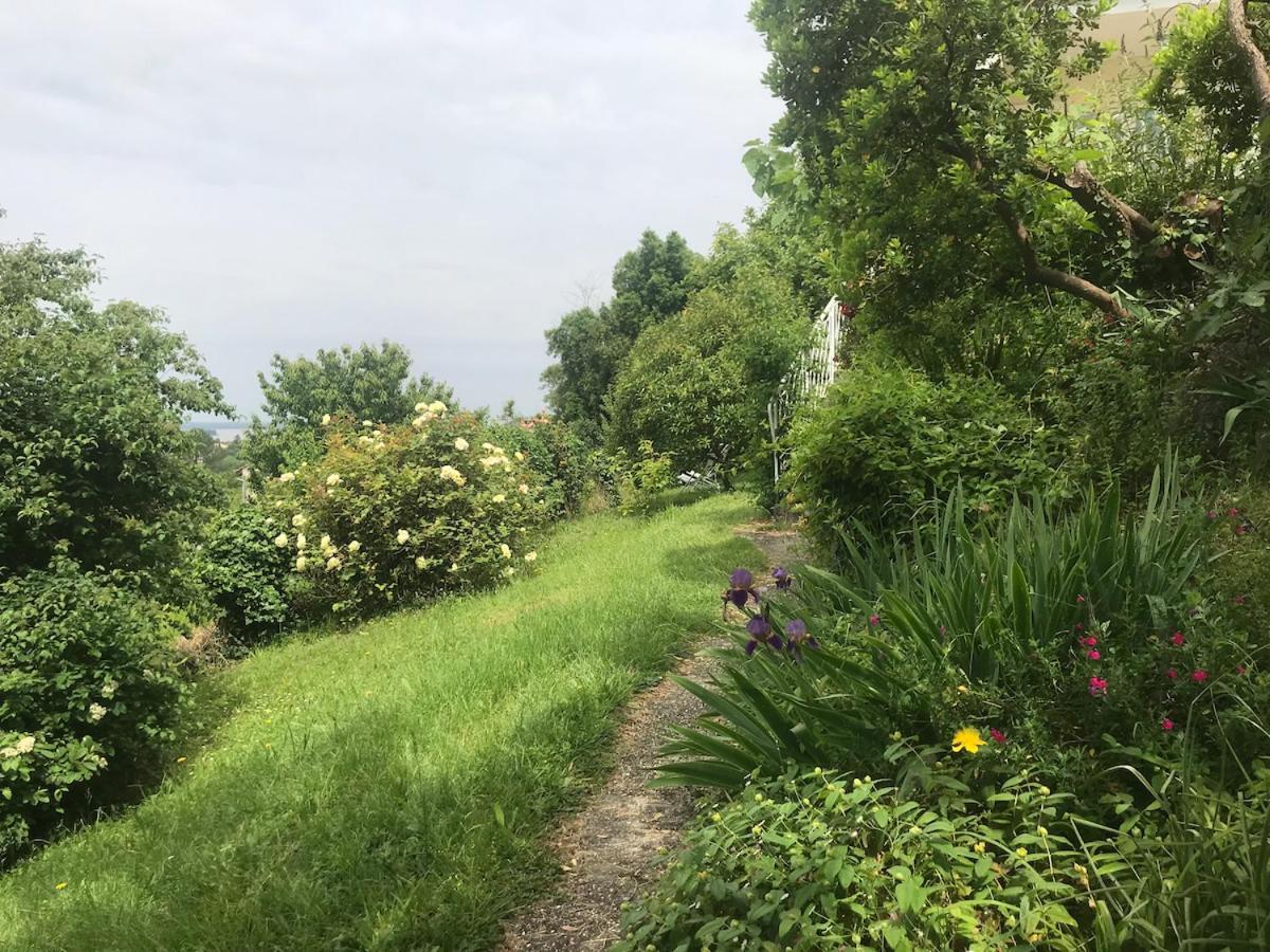 Appartement Avec Vue Panoramique Sur L'Estuaire De La Gironde Plassac  エクステリア 写真