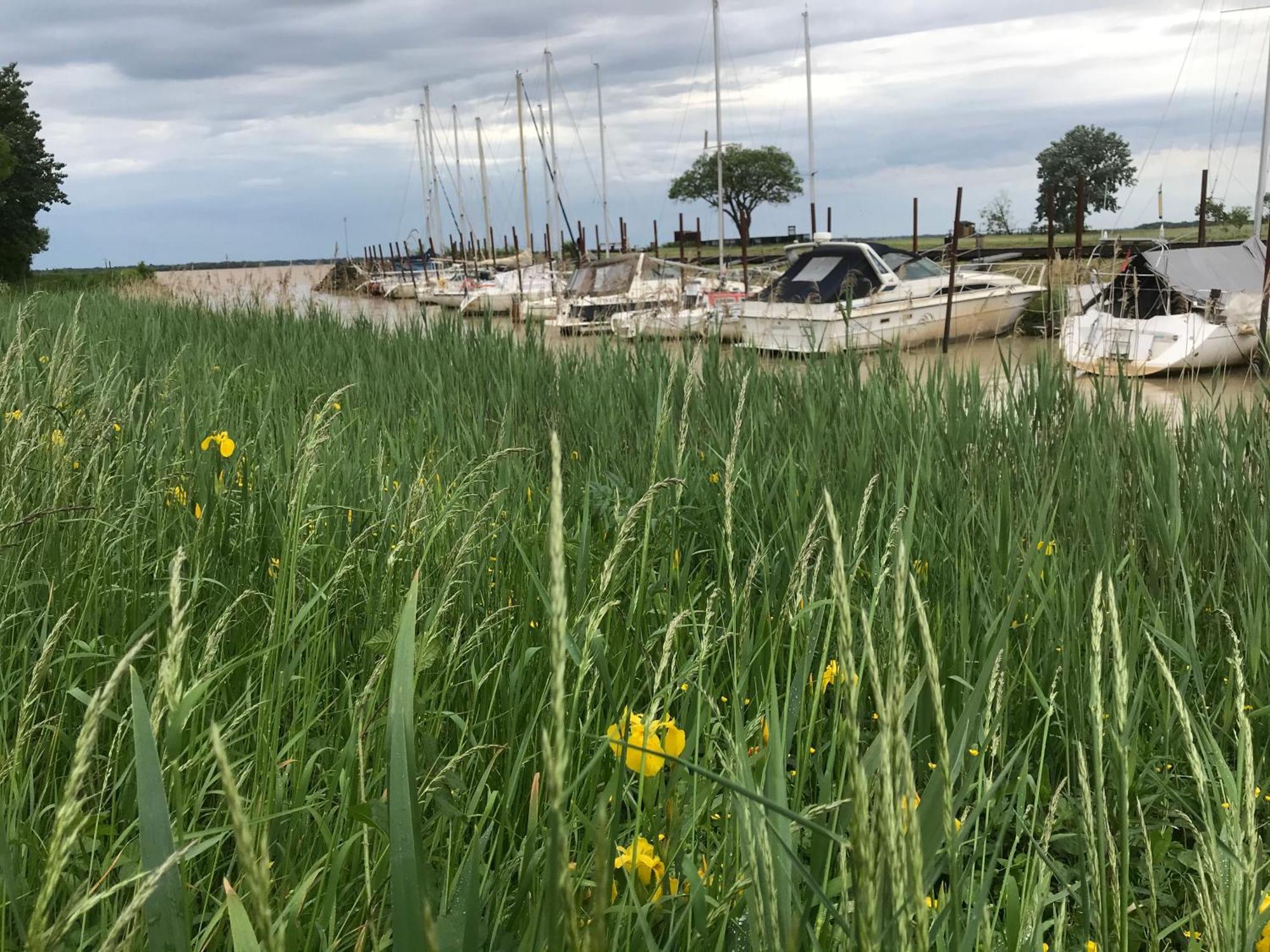 Appartement Avec Vue Panoramique Sur L'Estuaire De La Gironde Plassac  エクステリア 写真